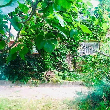 Lejlighed Maison Avec Jardin Pour 4 Personnes A Sur Argelès-sur-Mer